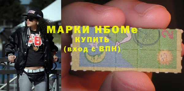 индика Алексин