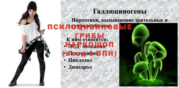 МДПВ Аркадак