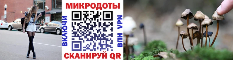 Псилоцибиновые грибы GOLDEN TEACHER  darknet клад  Белорецк  продажа наркотиков 